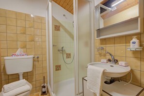 A bathroom with a toilet, sink, shower, and a towel rack. - Ca Contina (Sonogno)