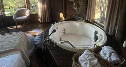 Round cabin with panoramic view