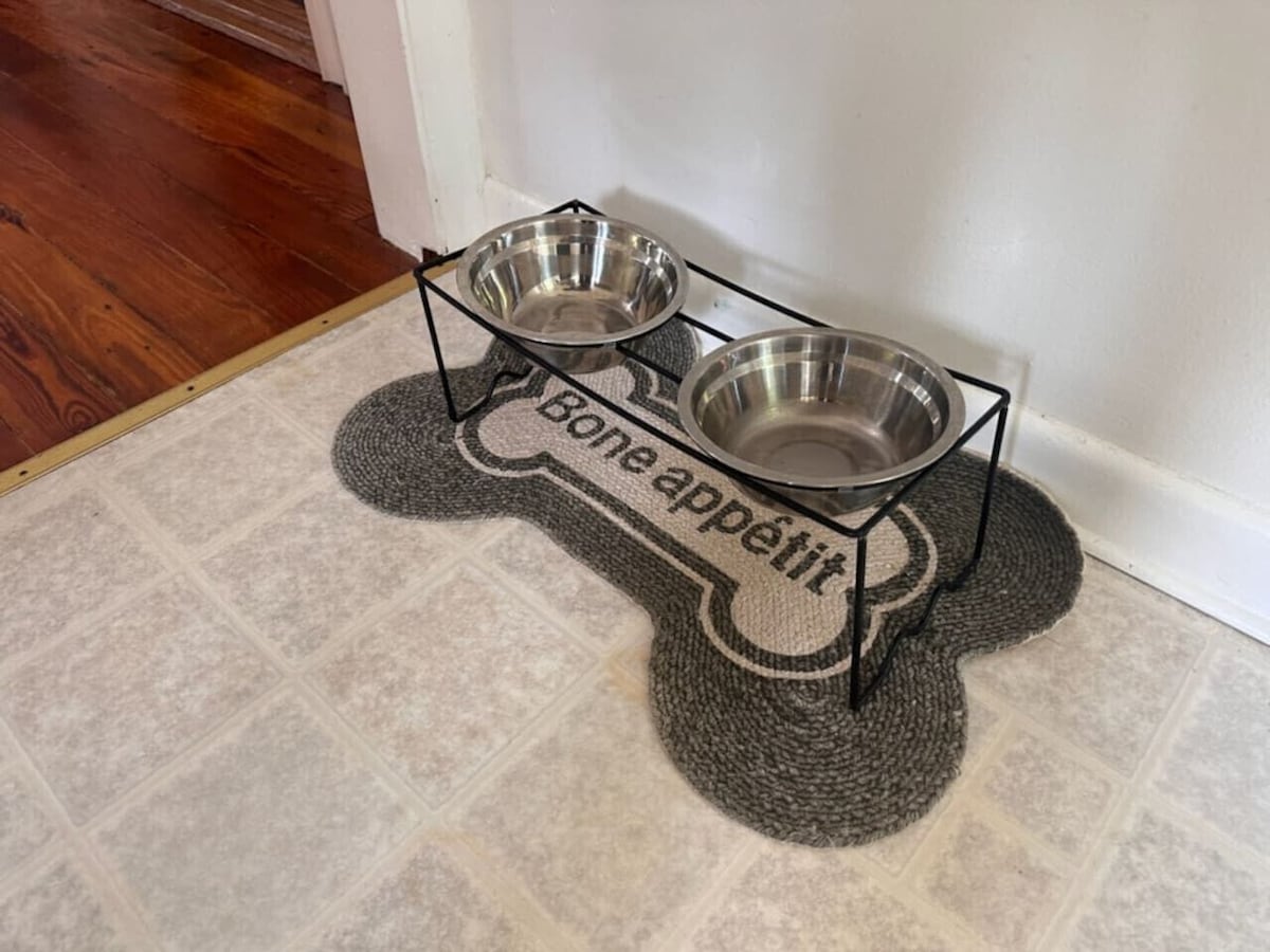 Photo 25 of Cottage jewel -pet friendly
