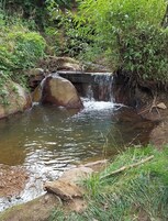 A small waterfall in a natural setting with surrounding greenery.