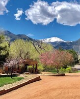 A rustic building with a brick pathway leading to it, surrounded by blooming trees and a mountain backdrop.