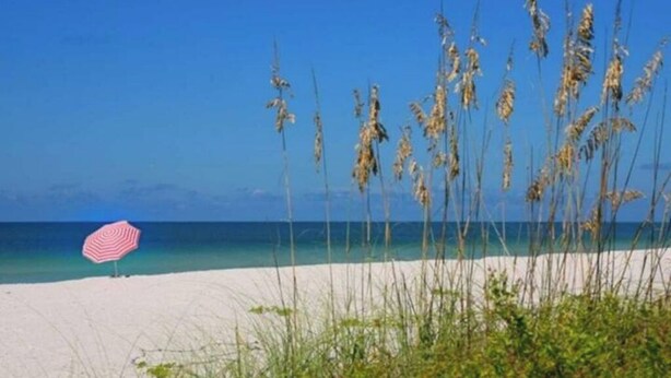 A beach with white sand, a clear blue sky, and tall grasses. - Siesta Key Beach Cottage-Prime Location! Walkable. Luxury Amenities & Comfort! (Sarasota)