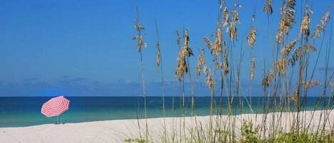 On the beach, sun loungers, beach towels