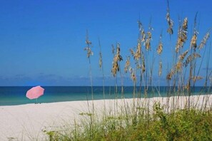 Plage, chaises longues, serviettes de plage
