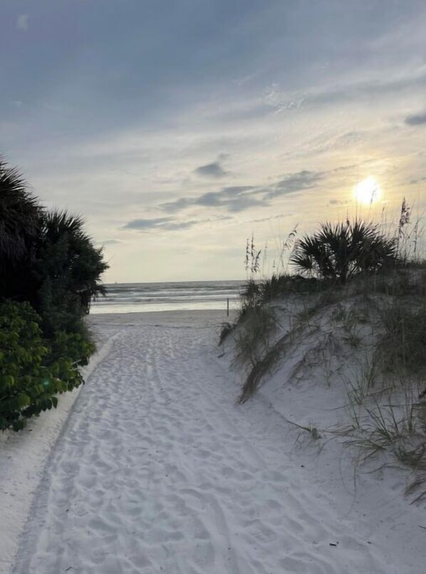 Een zandpad langs het strand dat naar de oceaan leidt, met weinig begroeiing aan beide zijden.