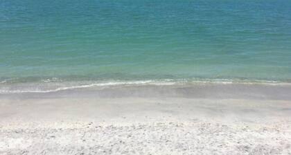 Siesta Key Beach Cottage-Prime Location! Walkable. Luxury Amenities & Comfort!