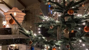 A Christmas tree with ornaments and lights in a room with a fireplace and a hanging lamp.