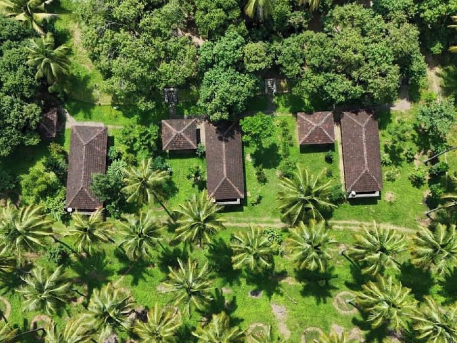 An aerial view of a resort with three buildings surrounded by palm trees.
