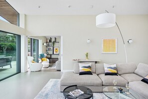 Televisión, chimenea, libros