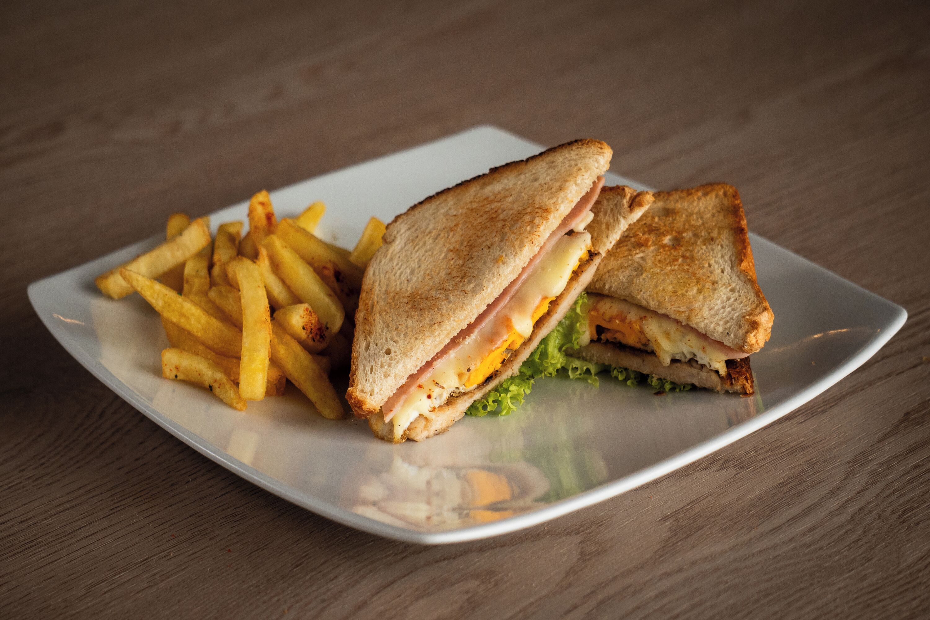 Une assiette avec un sandwich grillé et des frites.