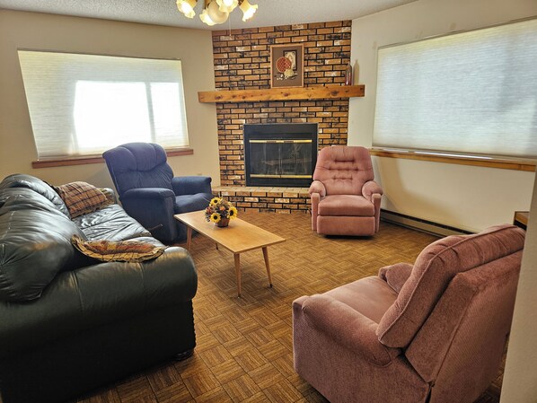 Télévision, cheminée, lecteur de DVD, livres