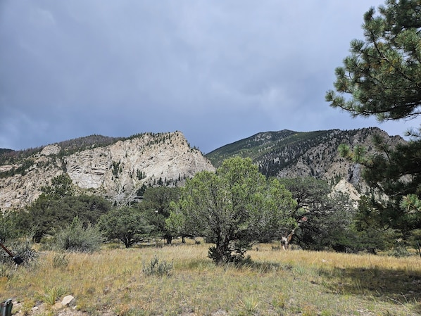 A mountainous landscape with rocky cliffs and sparse vegetation.