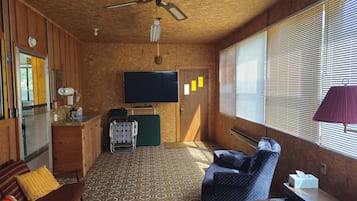 TV, fireplace, DVD player, books