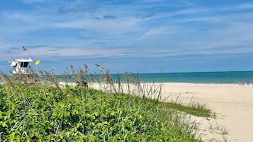 Sun loungers, beach towels