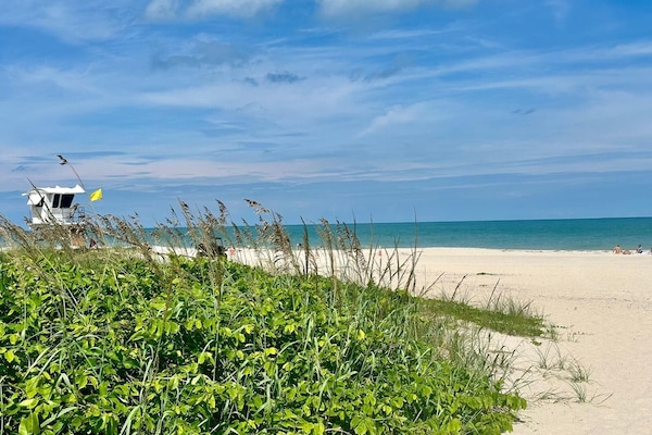 Sun loungers, beach towels