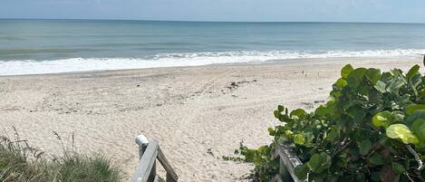 Camastros y toallas de playa