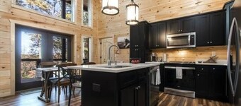 Private Luxury Mountain Cabin with Hot Tub, Fiber Wi-Fi, & Outside Fireplace!