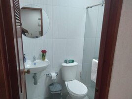 Un baño con lavamanos, inodoro y espejo.