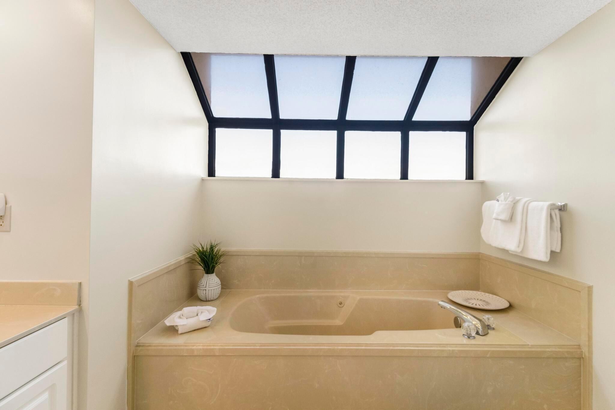 Une salle de bain moderne avec une baignoire sur pieds, une petite plante en pot et un porte-serviettes.
