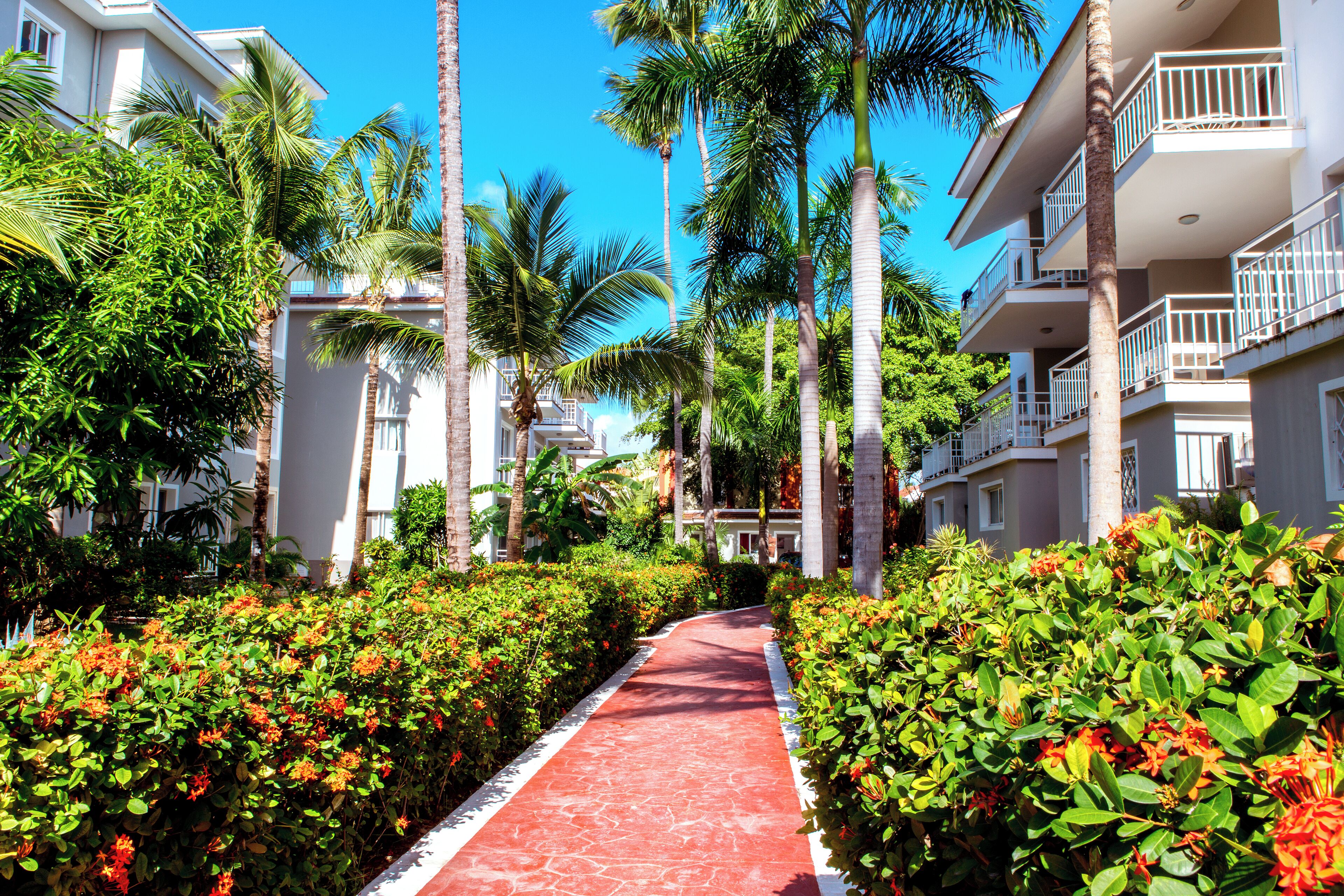 Foto - AVENTURA STUDIOS Playa LOS CORALES