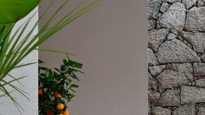 A large terracotta planter with orange fruits, a potted plant, and a stone wall. - Villa Ada: Elegant Villa with Private Pool & Mount Etna Views (Taormina)