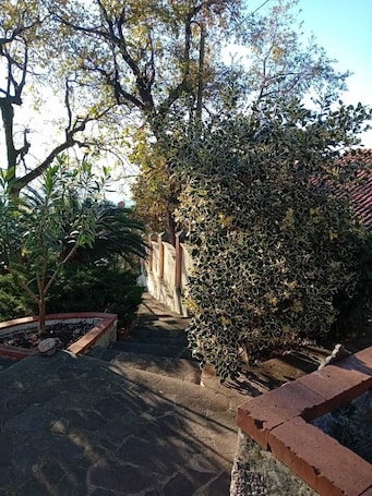 Parco della struttura. Monolocale immerso nel verde a Marina di Maratea