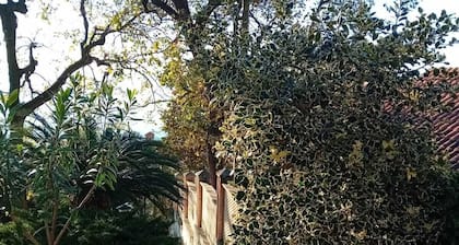 Studio apartment surrounded by greenery in Marina di Maratea