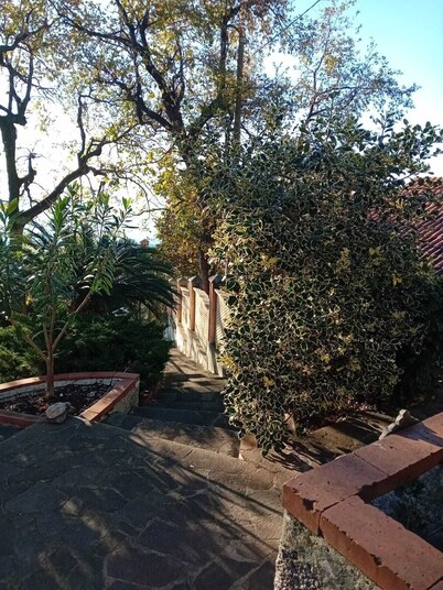 Studio apartment surrounded by greenery in Marina di Maratea 