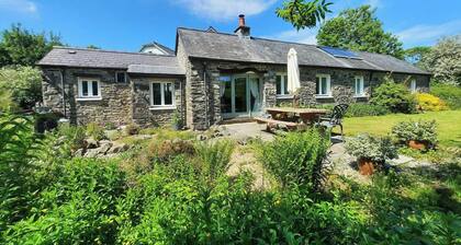 Cwt Mochyn, Aberaeron