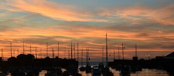 Cwt Mochyn, Aberaeron