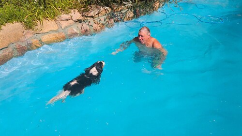 Enclosed Dog‑Friendly Escape with Jacuzzi & Views