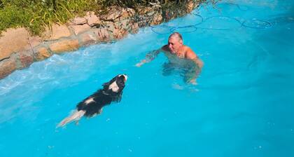 Enclosed Dog‑Friendly Escape with Jacuzzi & Views