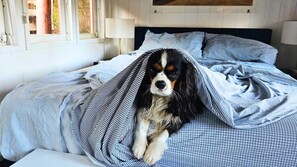 2 sovrum, skrivbord, resesäng och gratis wi-fi