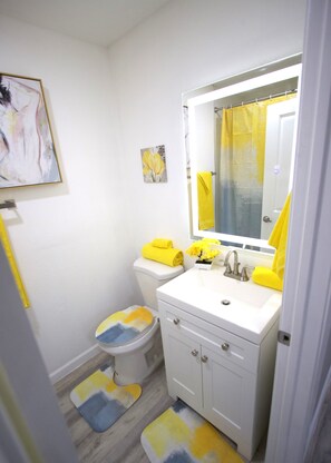 Hair dryer, towels, soap, shampoo - Cozy apartment in charming Arlington with WiFi,  Washer and Dryer and Double A/C (Arlington)