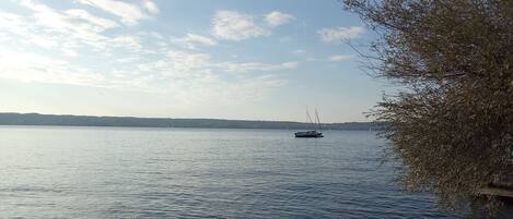 A calm lake with a sailboat in the distance and a tree on the right.