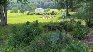 Un jardín exuberante con diversas plantas y flores, una valla de madera y un comedero azul para pájaros.