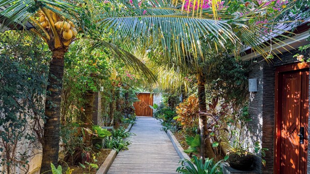 A wooden pathway leading to a building with a wooden door, surrounded by lush greenery and plants.