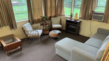 Smart TV, chimenea, reproductor de DVD y libros