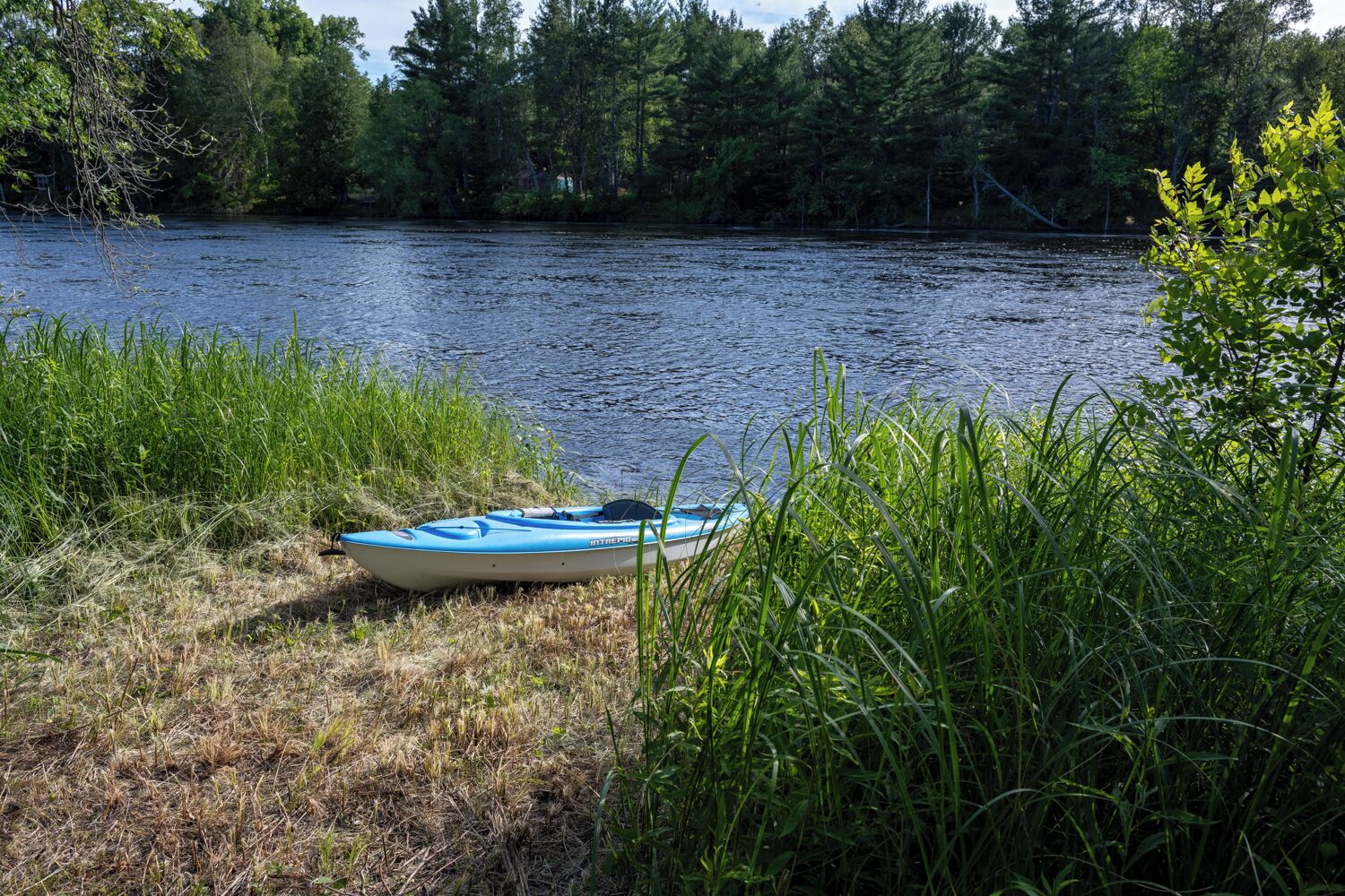 A kayak on the shore of a river with dense vegetation and trees in the background.