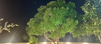 Unique Top of the Hill Caribbean Private Retreat