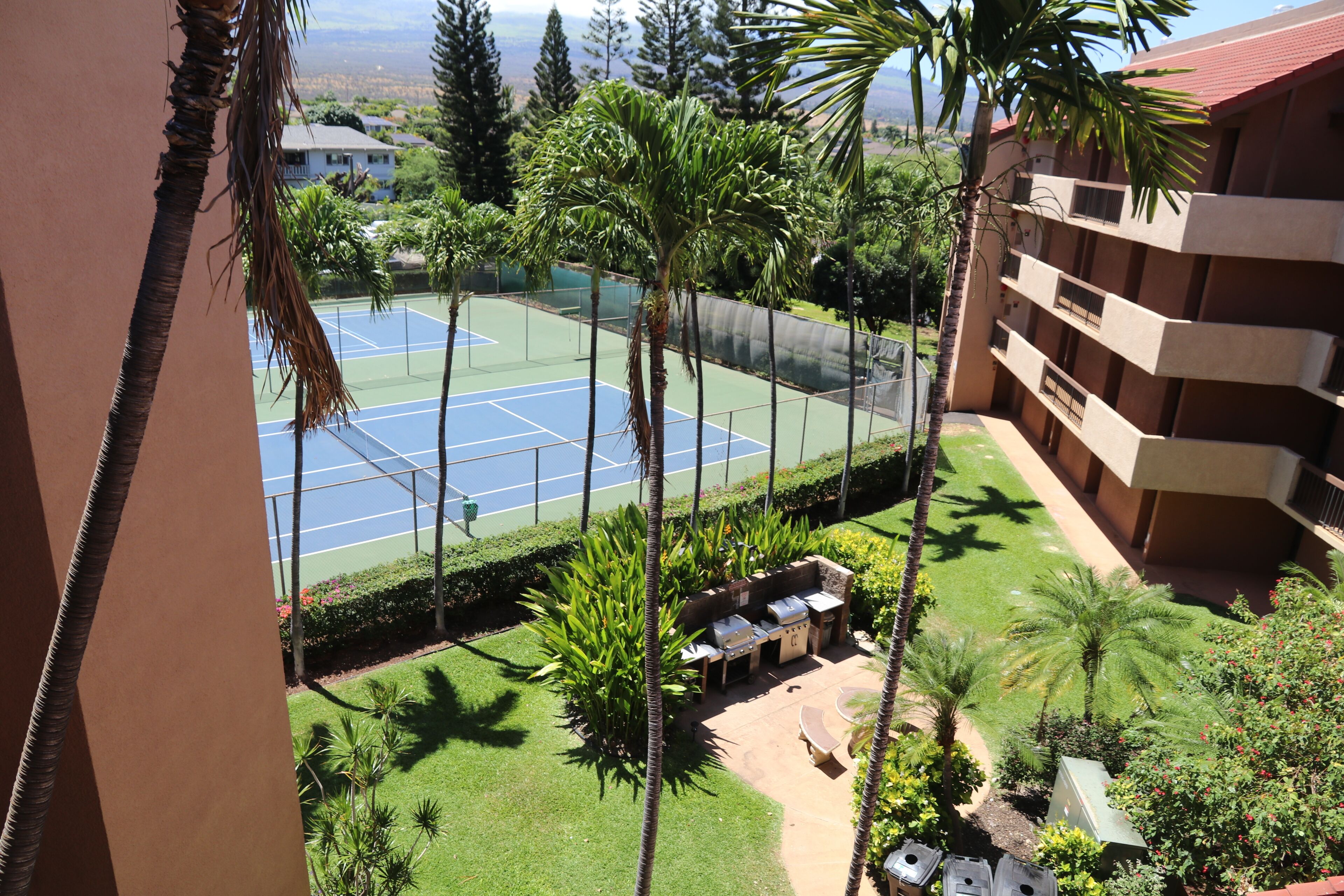 Cancha de tenis rodeada de palmeras y una zona de barbacoa.
