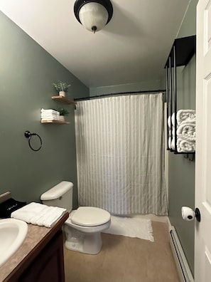 Hair dryer, towels, soap, shampoo