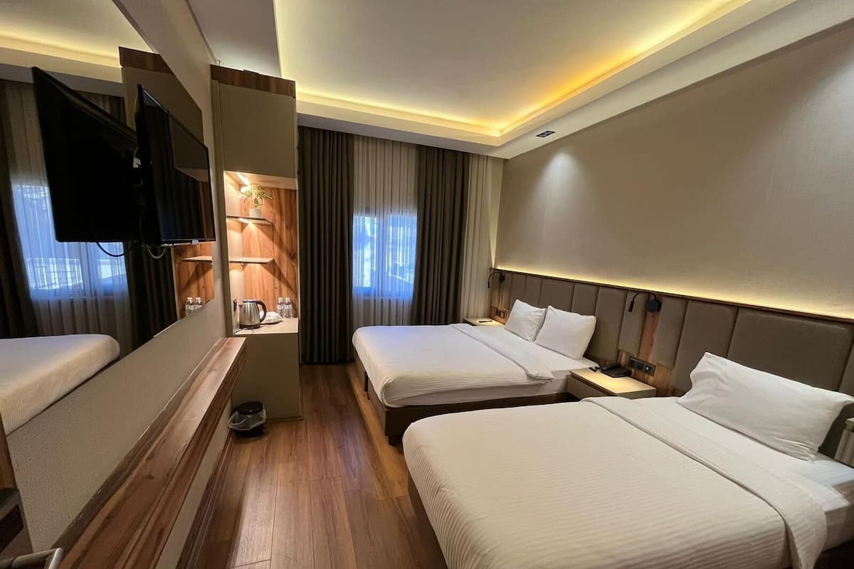 Roupas de cama de algodão egípcio, roupas de cama premium