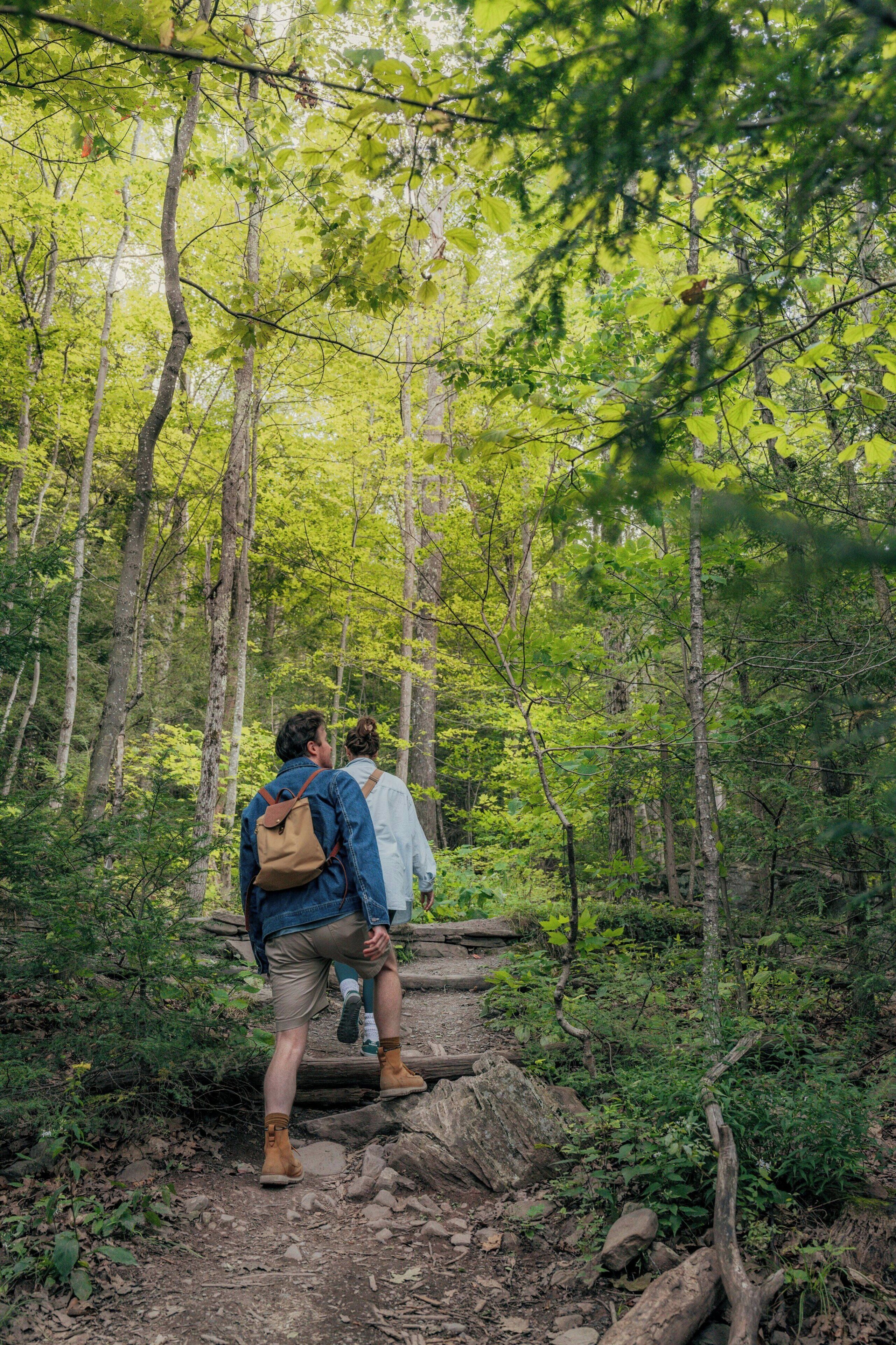 A couple hiking on a forest trail with dense greenery and trees.