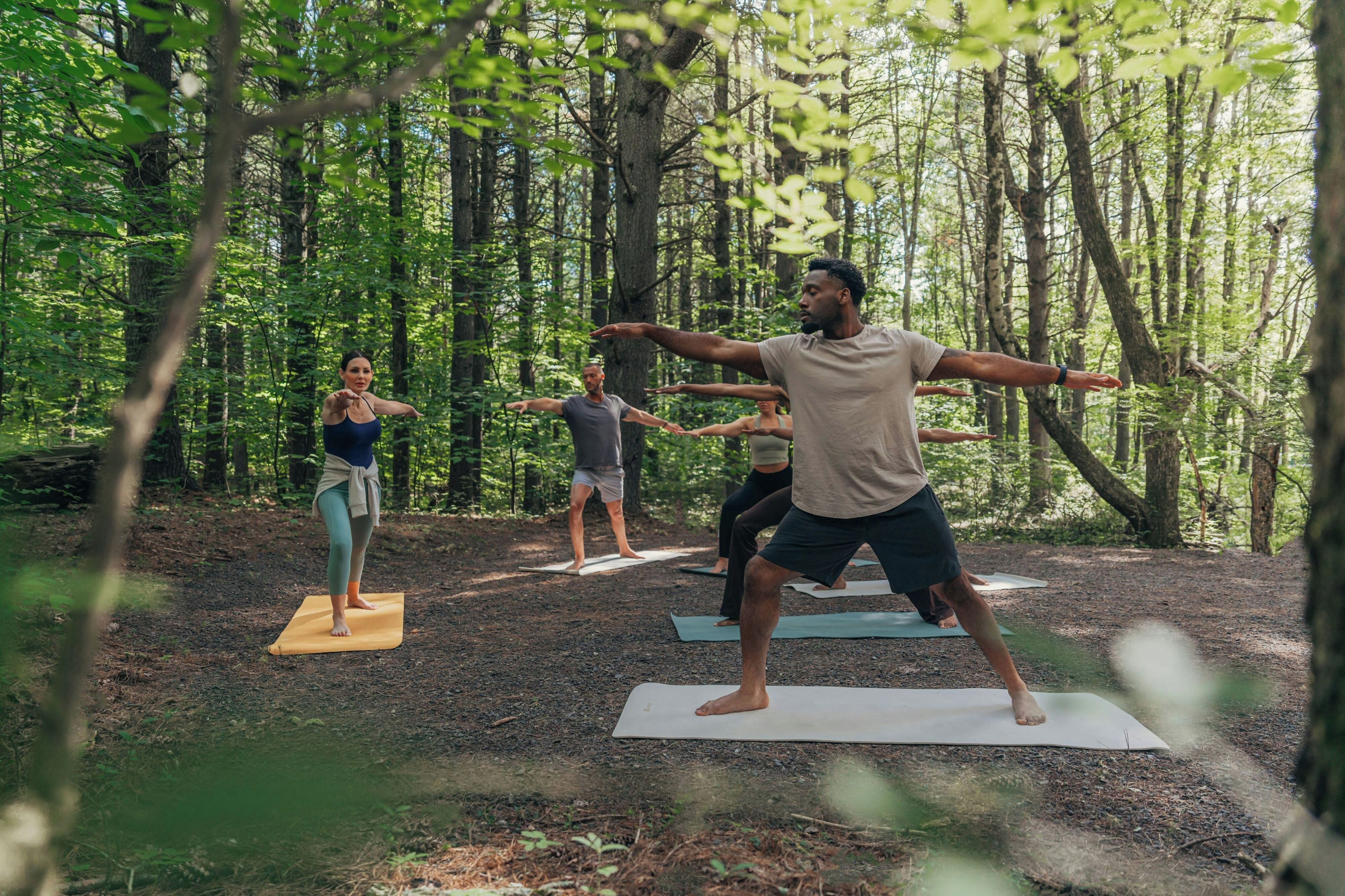 A group of people practicing yoga outdoors in a forested area.