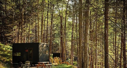 Postcard Cabins Eastern Catskills, Outdoor Collection by Marriott Bonvoy