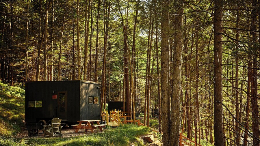 Postcard Cabins Eastern Catskills, Outdoor Collection by Marriott Bonvoy