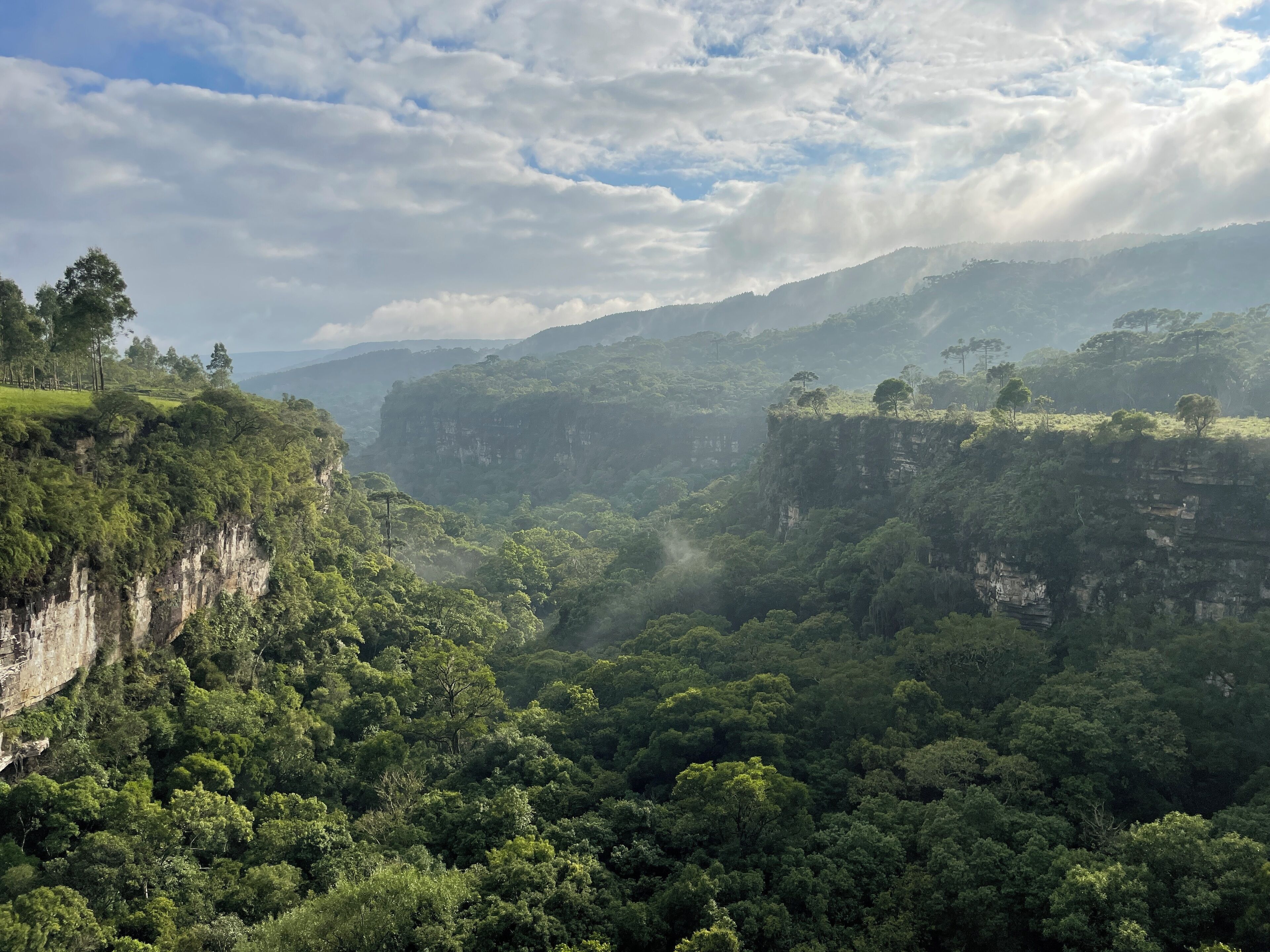 A mountainous landscape with dense forest and cliffs.