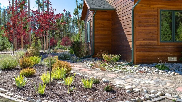 A wooden cabin with a stone pathway and a garden with various plants and trees.
