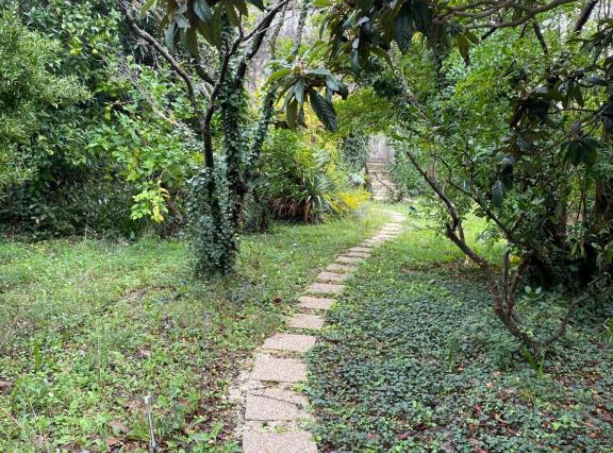 A stone pathway leading through a lush garden with dense foliage on either side.